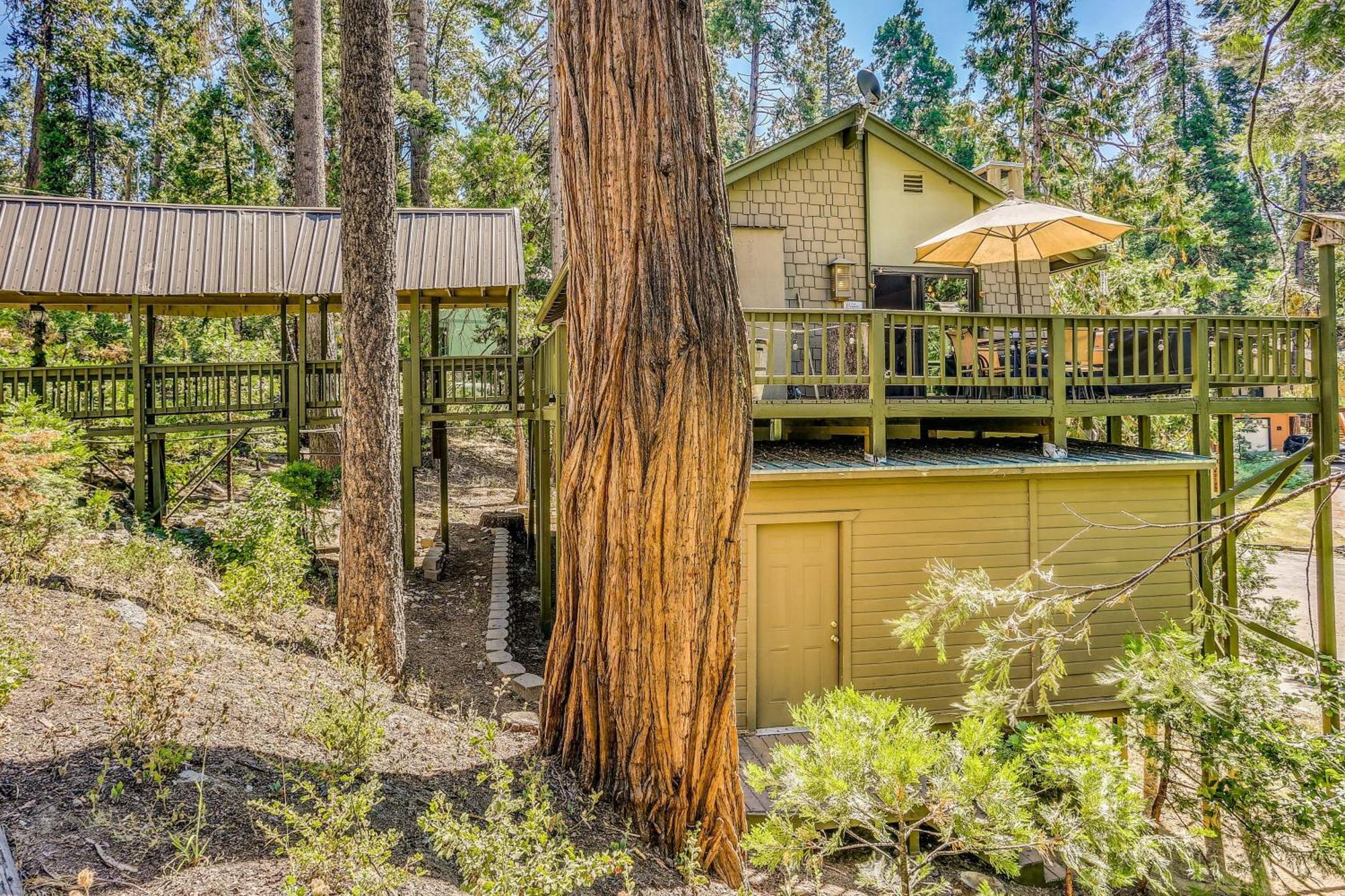 Cozy Bears Hideaway Cabin About 3 Mi To Shaver Lake! Εξωτερικό φωτογραφία